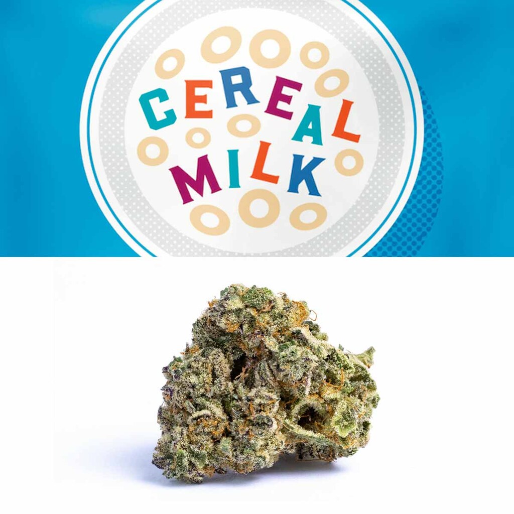 Buy Cereal Milk Strain Cookies | Cereal Milk Strain | Cereal Milk | Cereal Milk Strain by Cookies | Cannovative Labs