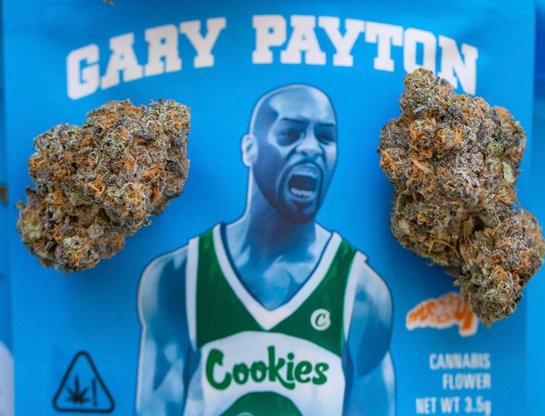 Buy Gary Payton Strain Cookies | Gary Payton Strain | Gary Payton by Cookies | Gary Payton | Cookies Gary Payton Strain | Cannovative Labs