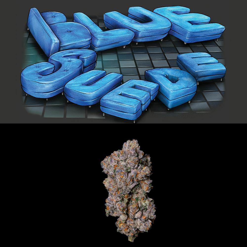 Buy Blue Suede Strain | Blue Suede Cookies Strain | Blue Suede Strain Cookies | Blue Suede Cookies | Cookies Blue Suede Strain | Cannovative Labs