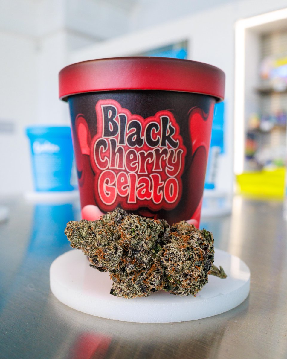 Buy Black Cherry Gelato Strain | Black Cherry Gelato | Cookies Black Cherry Gelato | Black Cherry Gelato Cookies Strain | Gelato Strain | Black Cherry Cookies Strain | Cannovative Labs